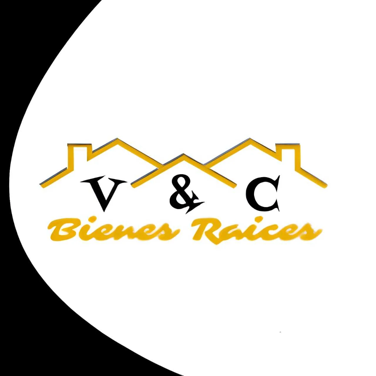 BIENES RAICES V & C