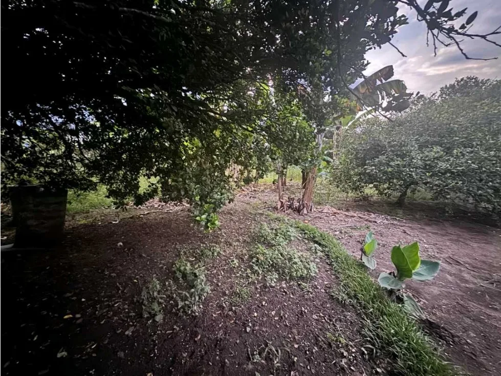 Casa Campestre en Arriendo en Calarcá