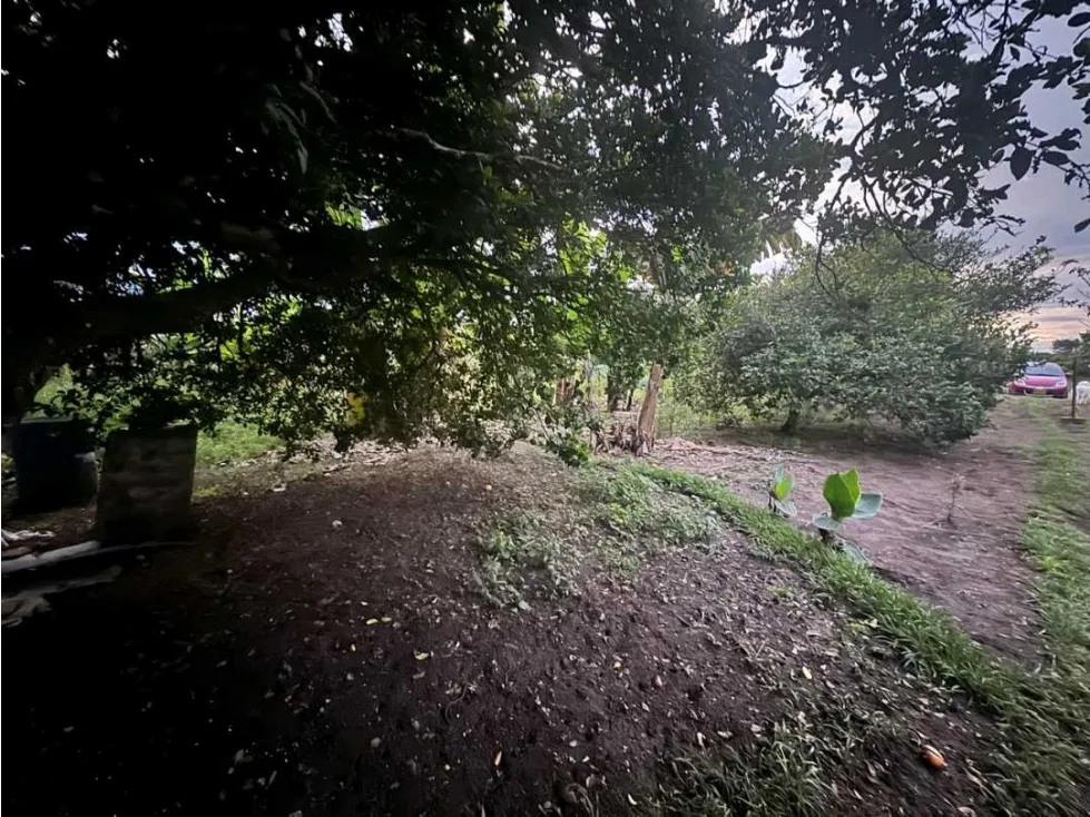 Casa Campestre en Arriendo en Calarcá