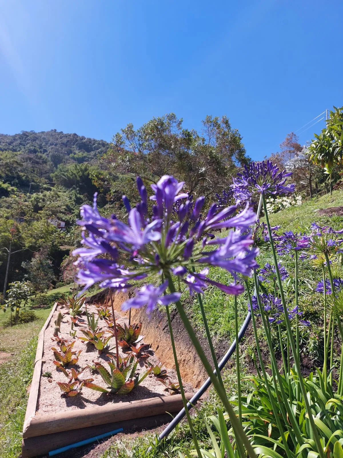 Casa Campestre en Arriendo en Guatapé