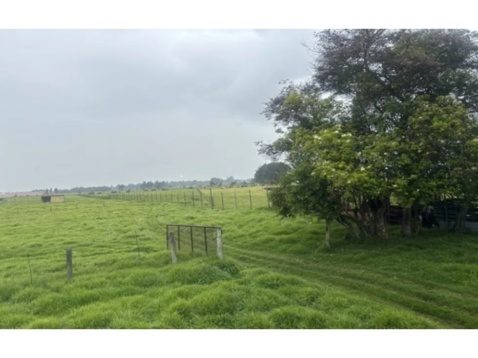 Finca en Arriendo en Funza