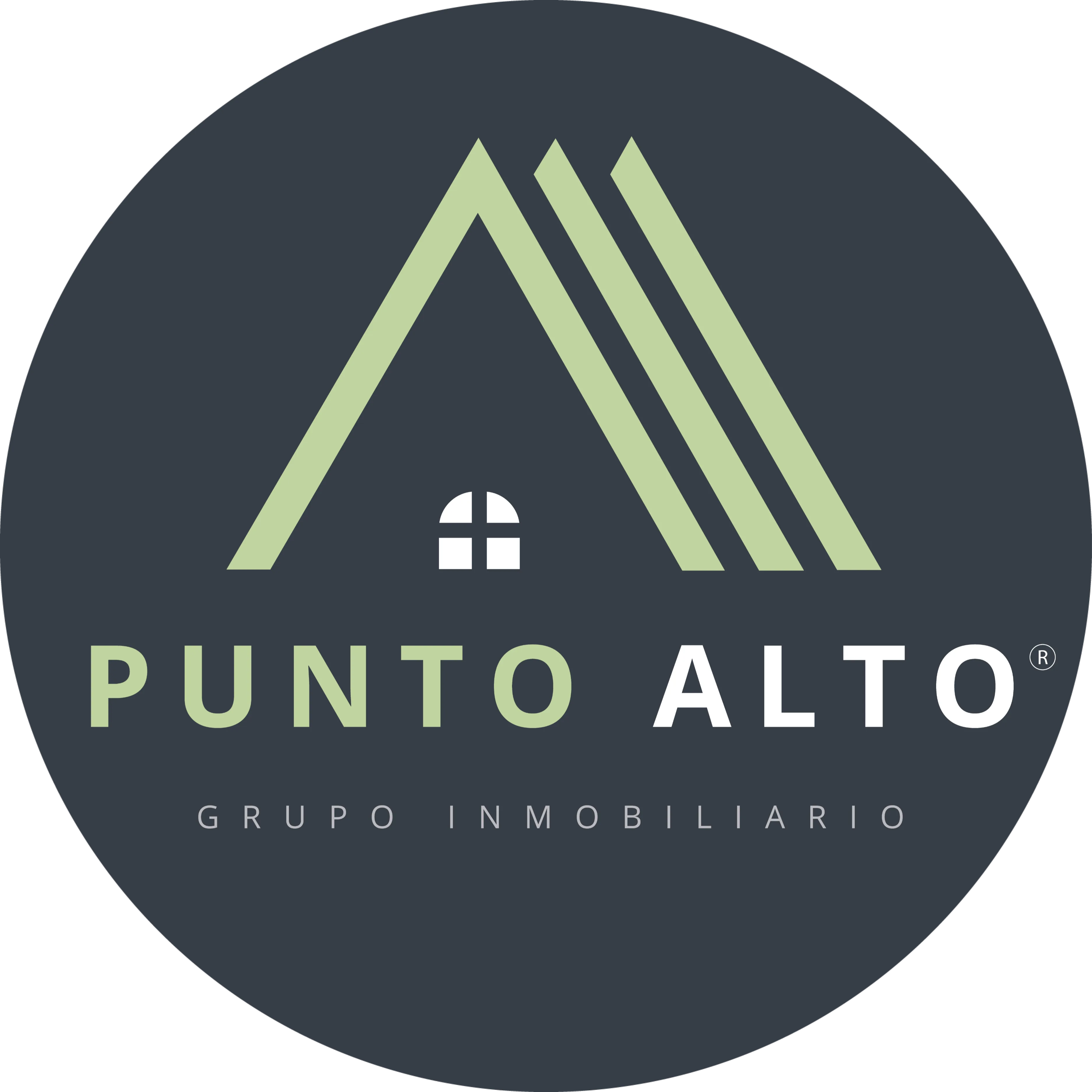 GRUPO INMOBILIARIO PUNTO ALTO