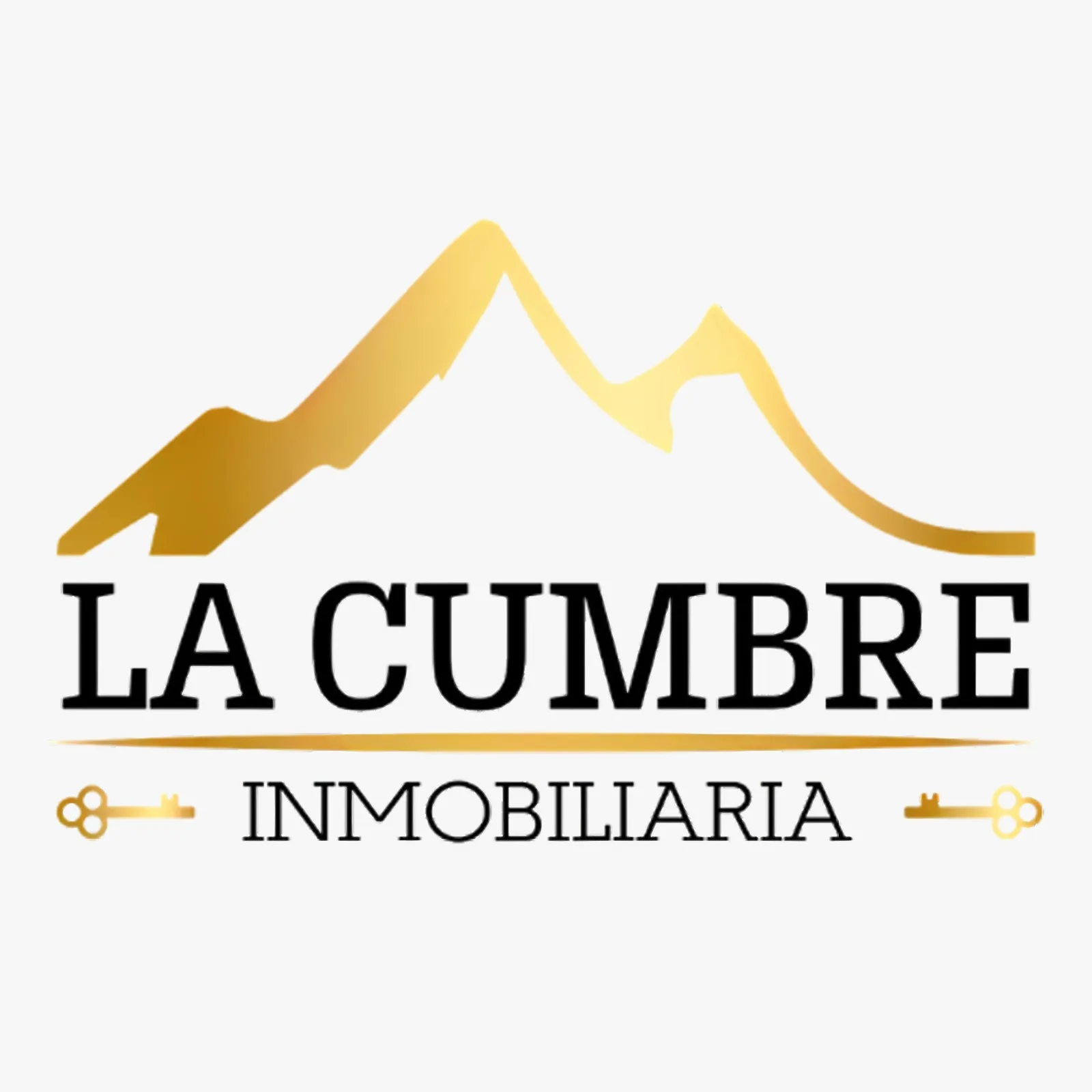 INMOBILIARIA LA CUMBRE