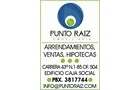 INMOBILIARIA PUNTO RAIZ