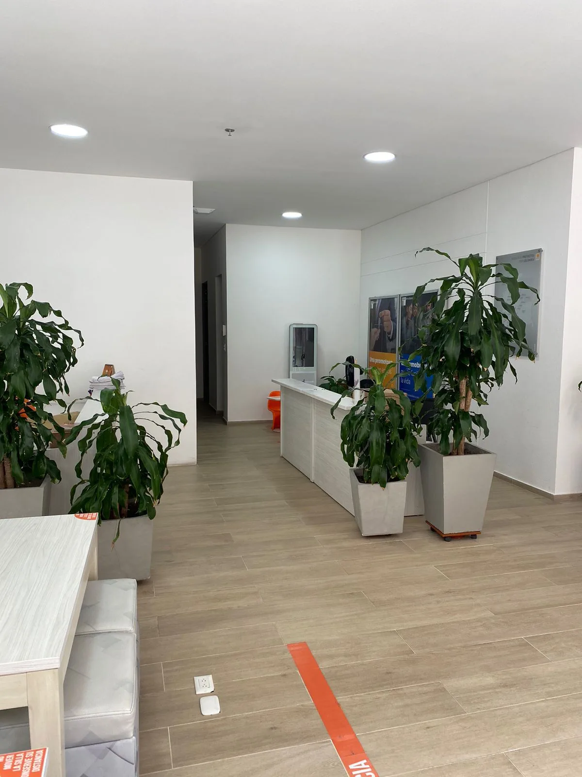 Local en  Arriendo en Ibagué