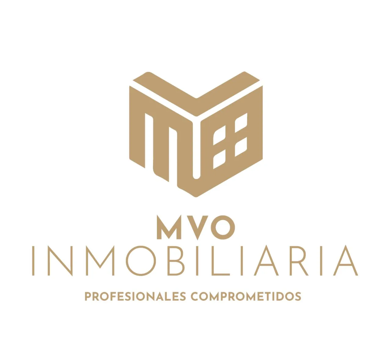 MVO INMOBILIARIA SAS