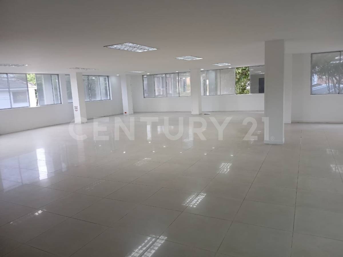 ALQUILER APARTAMENTO AMOBLADO EN VERSALLES