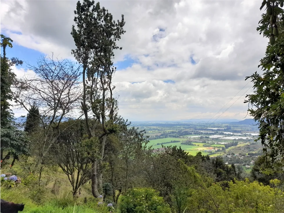 Apartaestudio en Arriendo en Tenjo