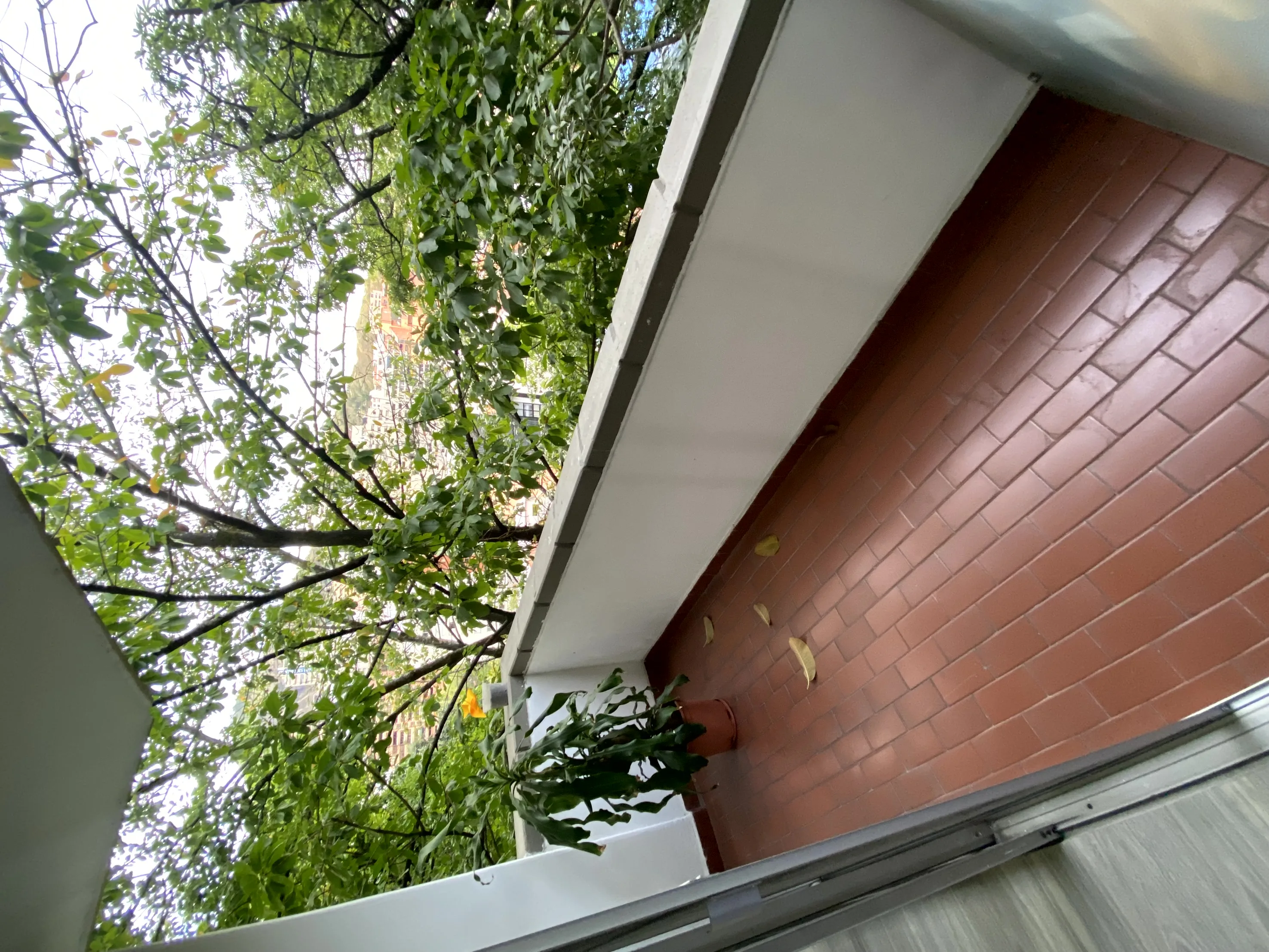 Apartamento en  Arriendo en El peñon