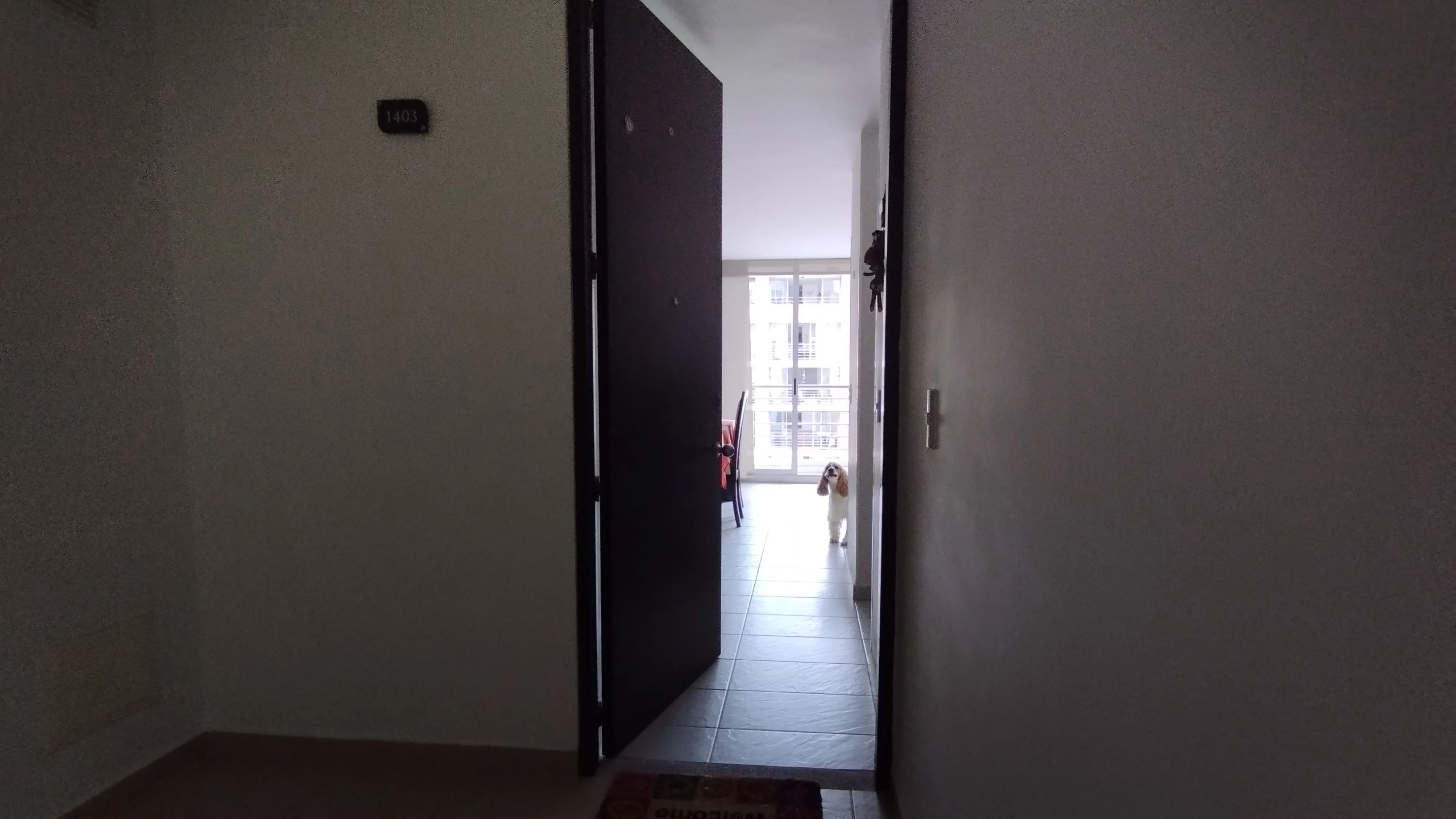 Apartamento en Arriendo en Floridablanca