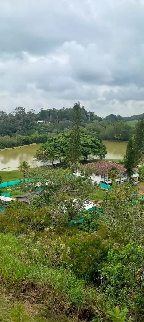 Apartamento en Arriendo en Porerito, Jamundí