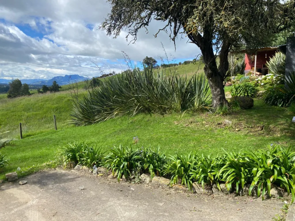 Oficina en Arriendo en Usaquen, Zipaquirá