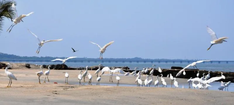 Apartamento en  Arriendo en Santa marta