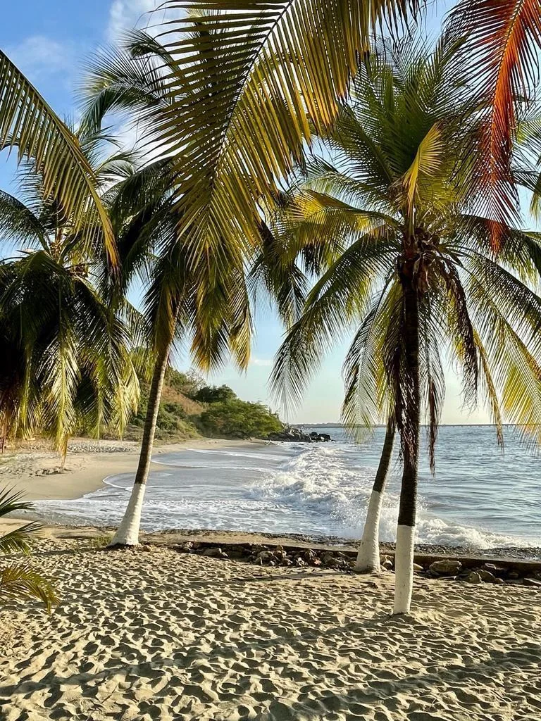 Apartamento en  Arriendo en Santa marta