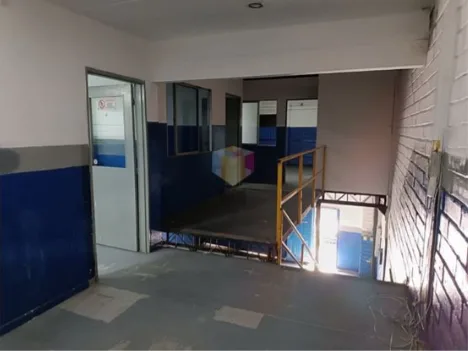 Casa Campestre en Arriendo en La mina, Envigado