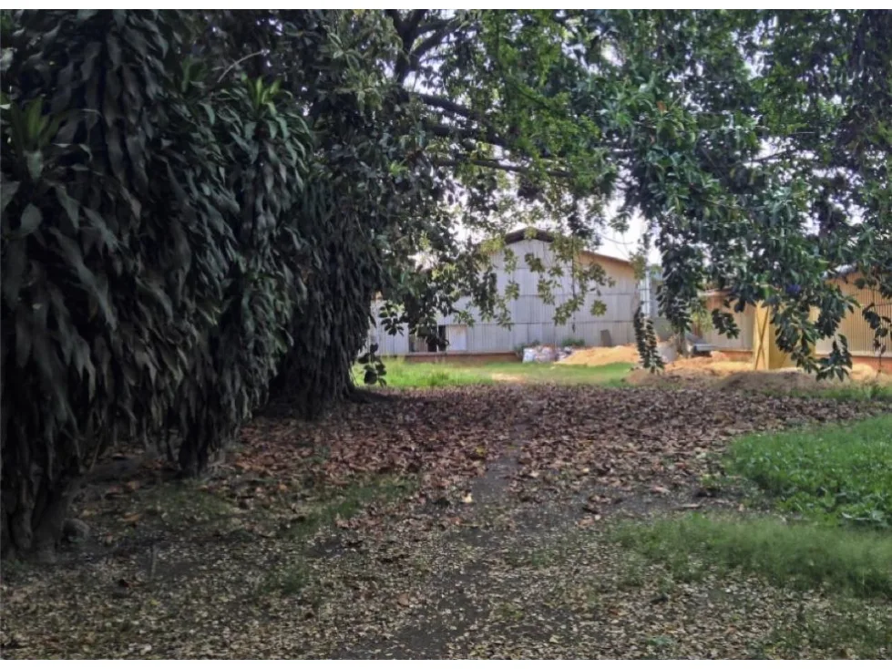 Bodega en  Arriendo en Palmira