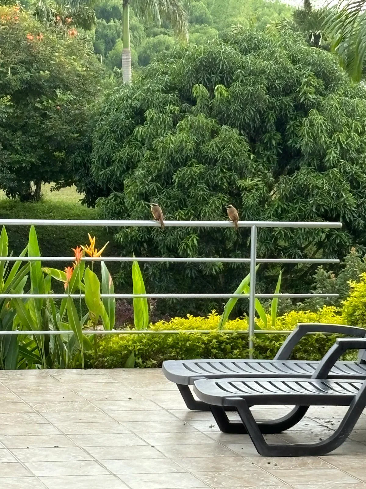 Casa Campestre en Arriendo en La tebaida