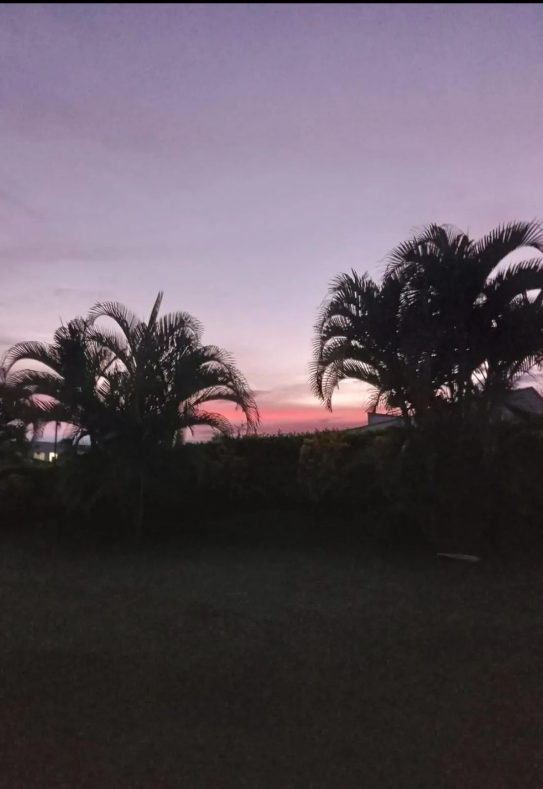 Casa Campestre en Arriendo en La tebaida