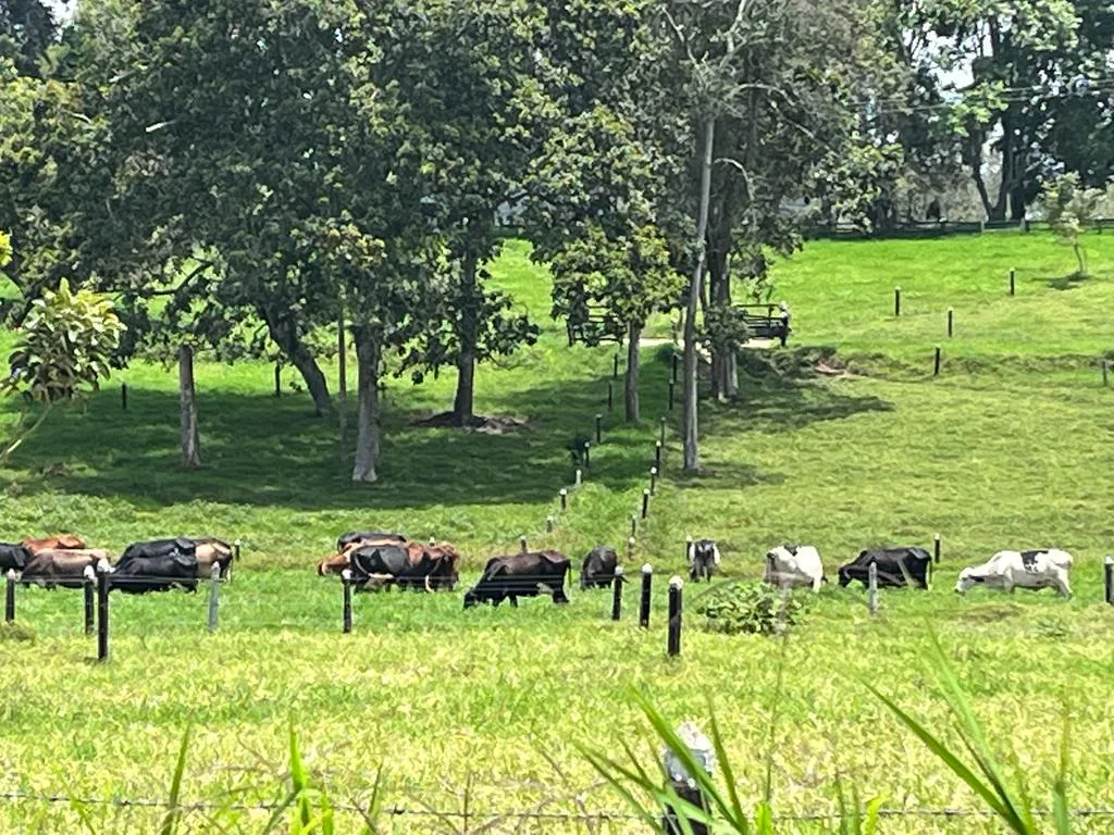 Casa Campestre en arriendo en El volador, Piedecuesta