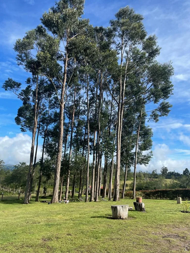 Casa Campestre en arriendo en Icarina, Viracacha