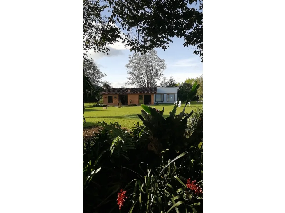 Alquiler Apartamento Amoblado Poblado san Lucas 9075476 DL