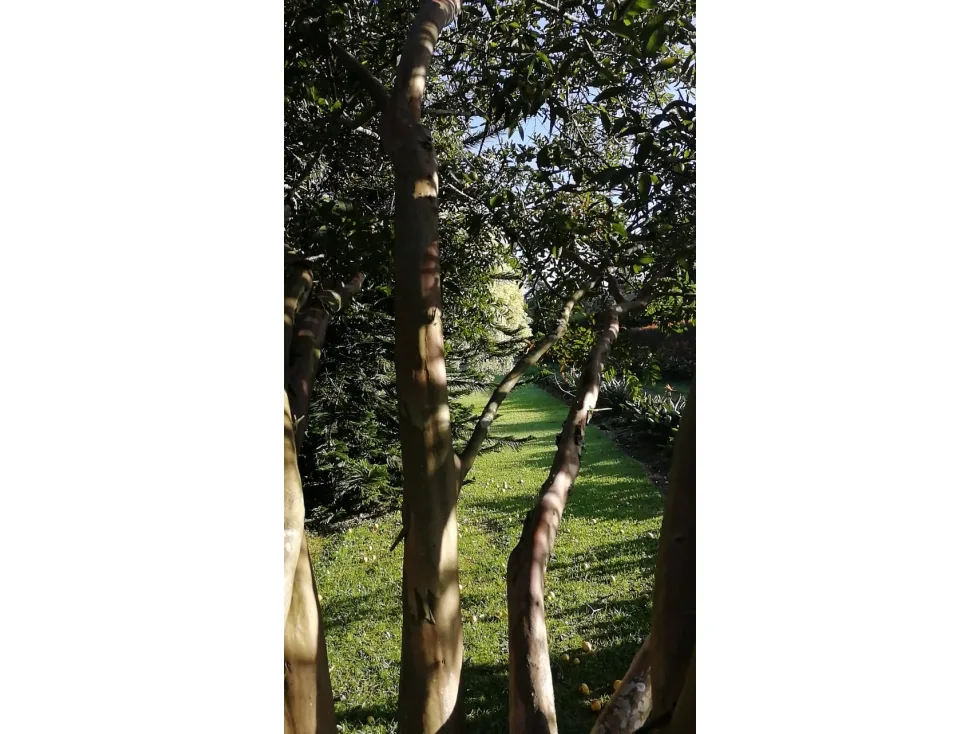 Casa Campestre en arriendo en La ceja