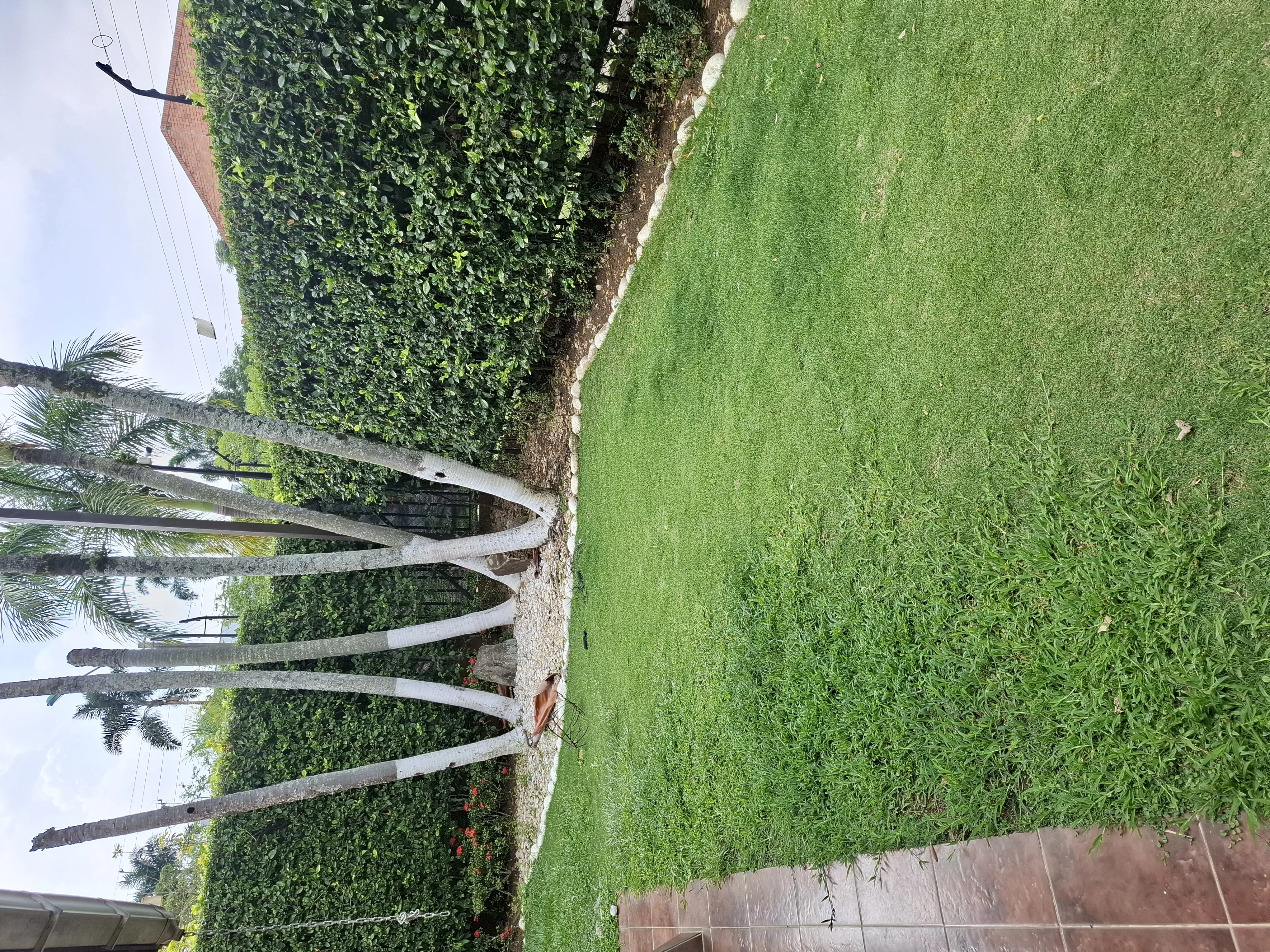 Casa en  Arriendo en Ciudad jardin, Cali