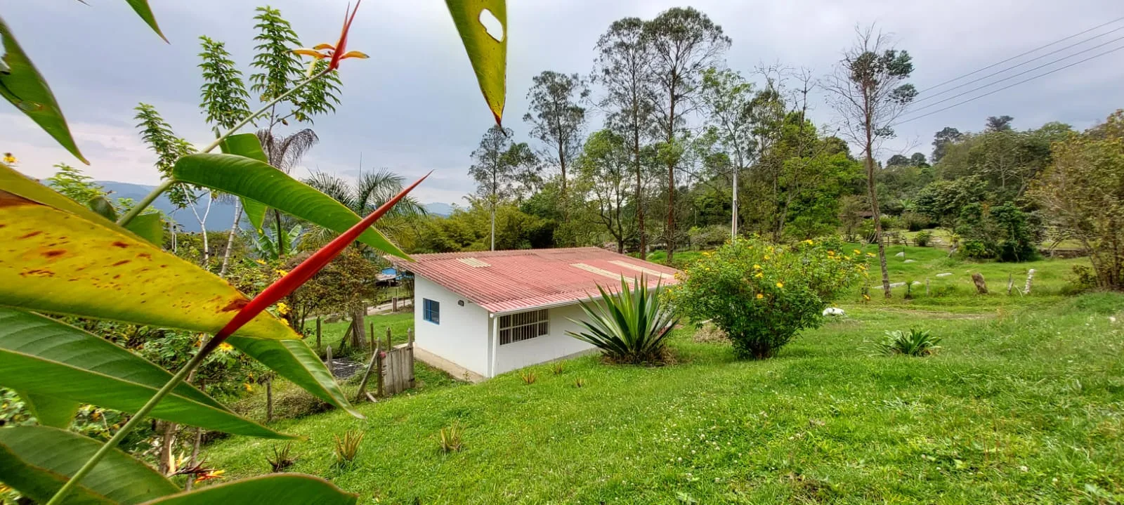 Casa en  Arriendo en Matima, Anolaima