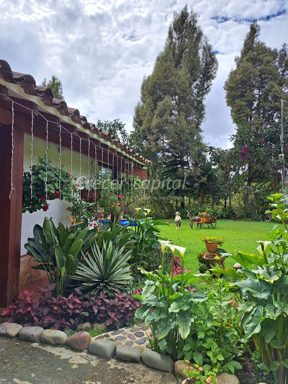 Casa en Arriendo en Vía Las Palmas, Envigado