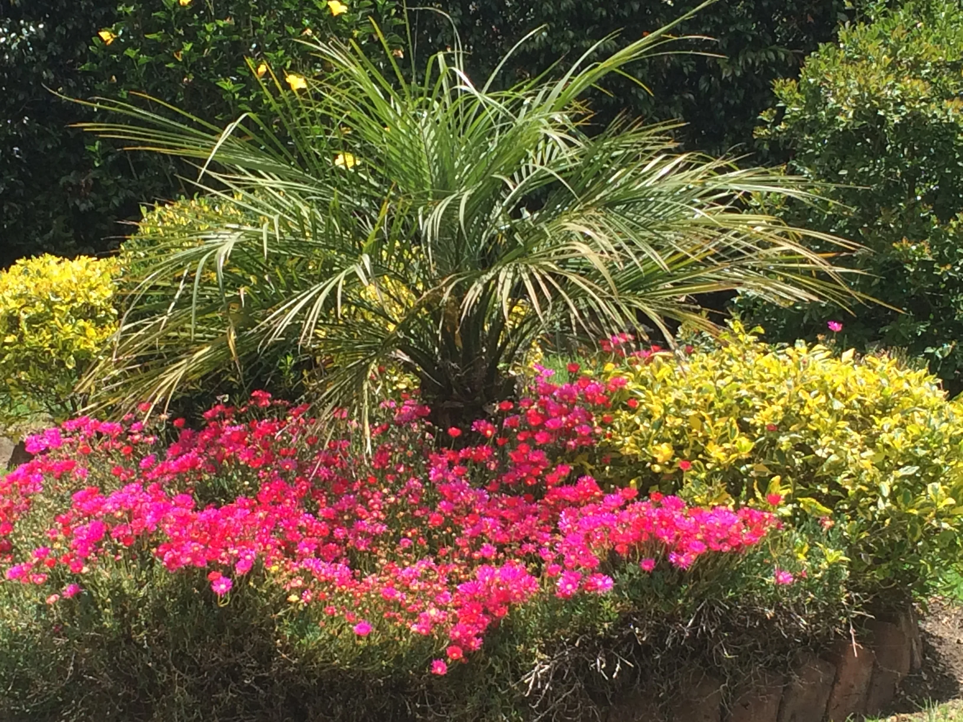 Casa en arriendo en Cajicá