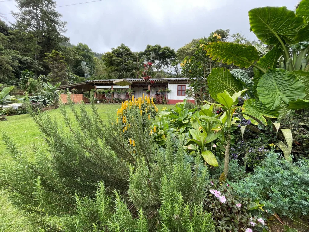 Finca en Arriendo en Alto dapa, Yumbo