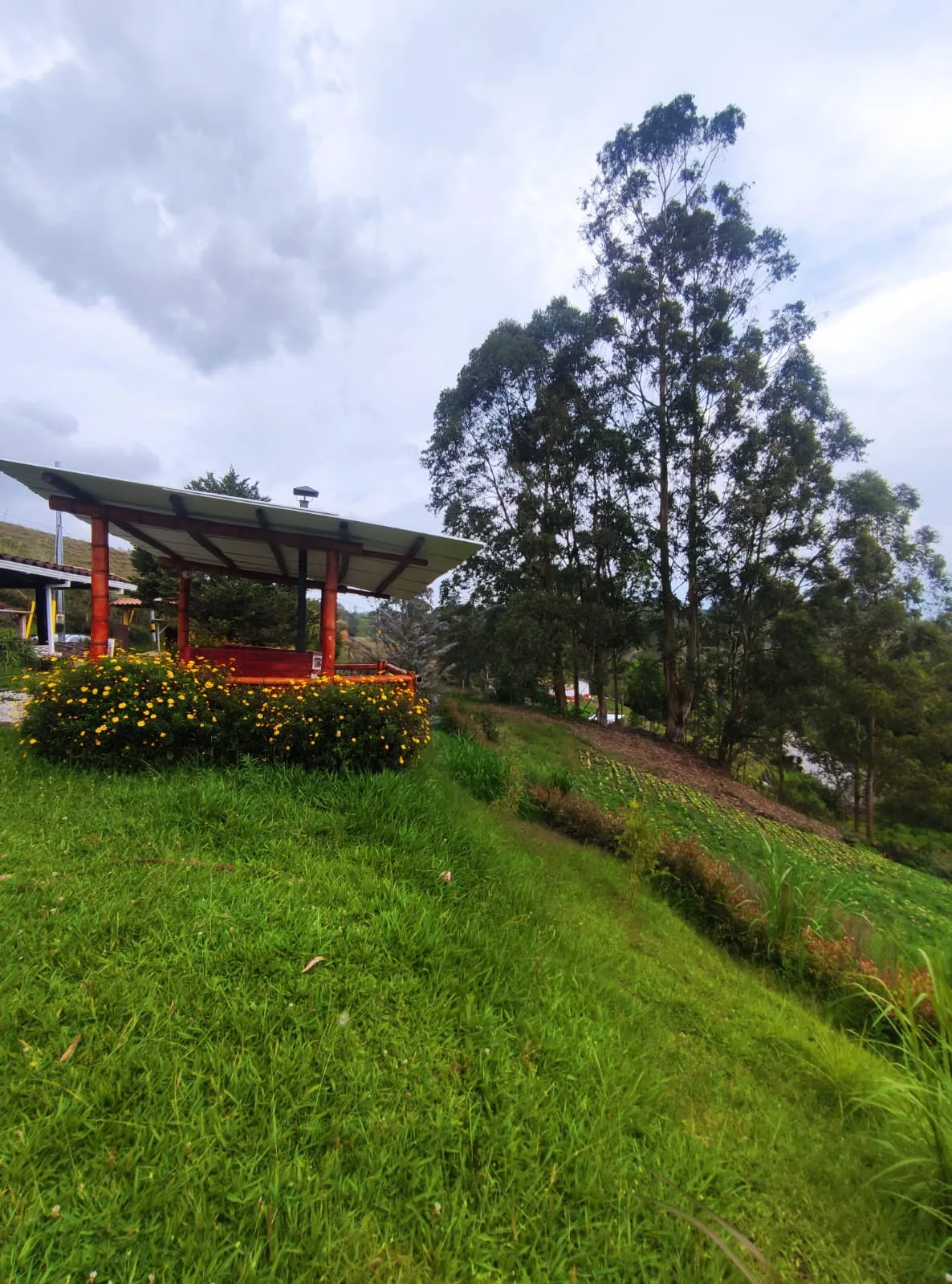 Finca en  Arriendo en Chaparral