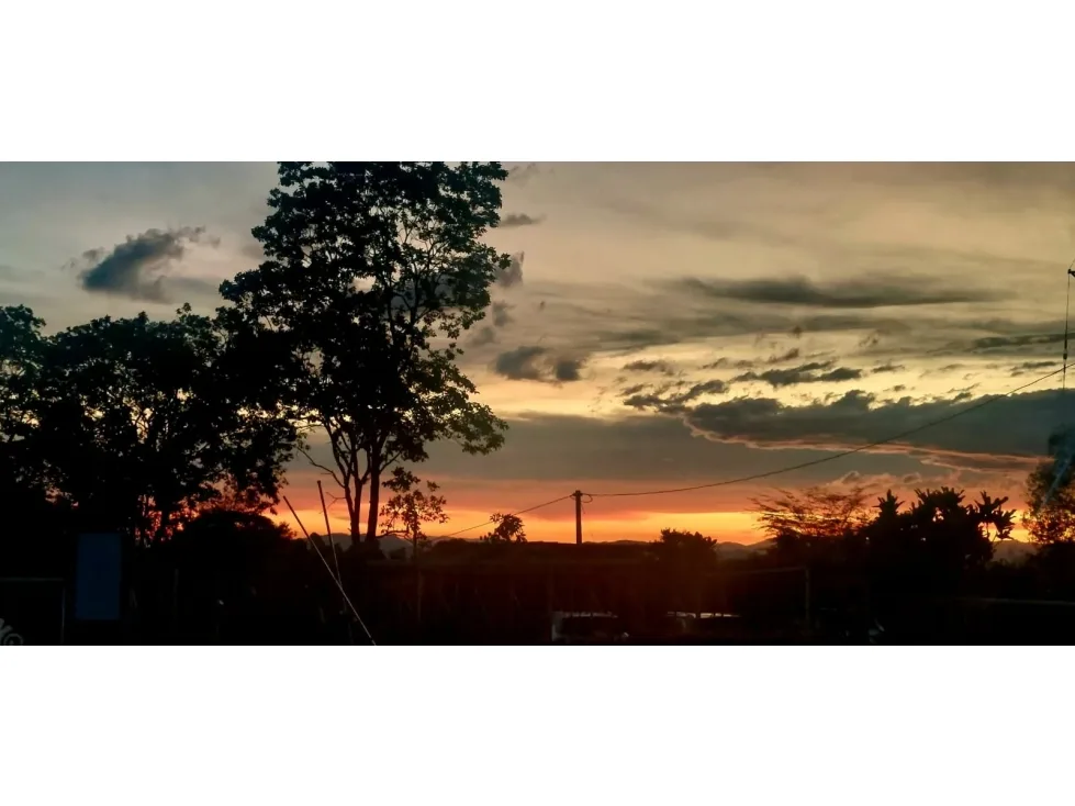 Finca en  Arriendo en Circasia