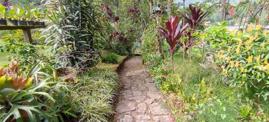 Tenjo, Local Vitrina, 52 M2, estación servicio La Cumbre, L104