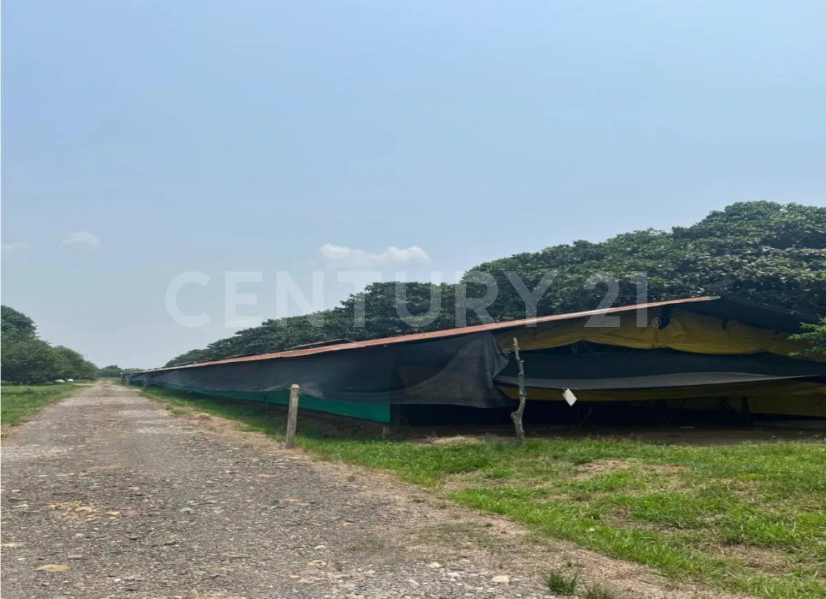 Finca en  Arriendo en Cumaral