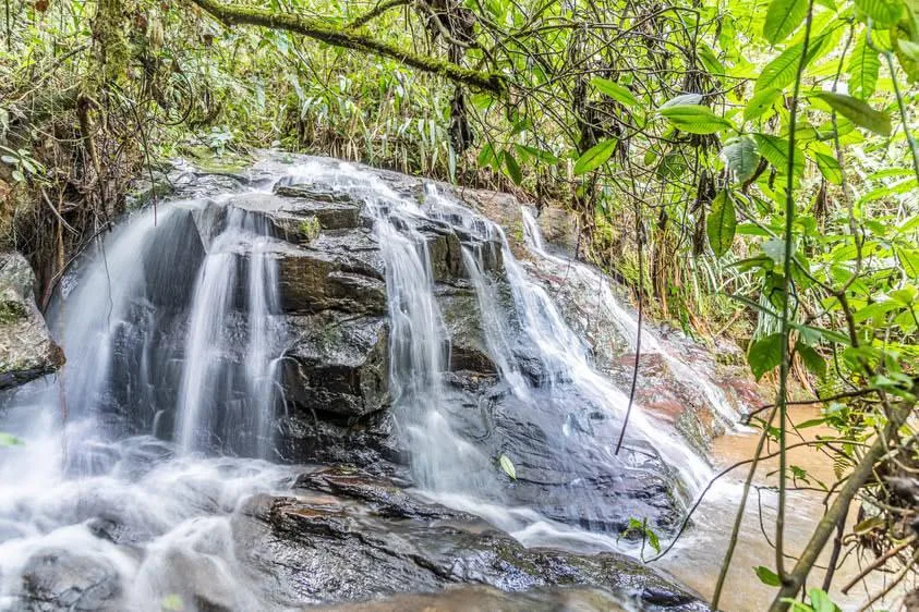 Apartamento en Arriendo en El Poblado, Envigado