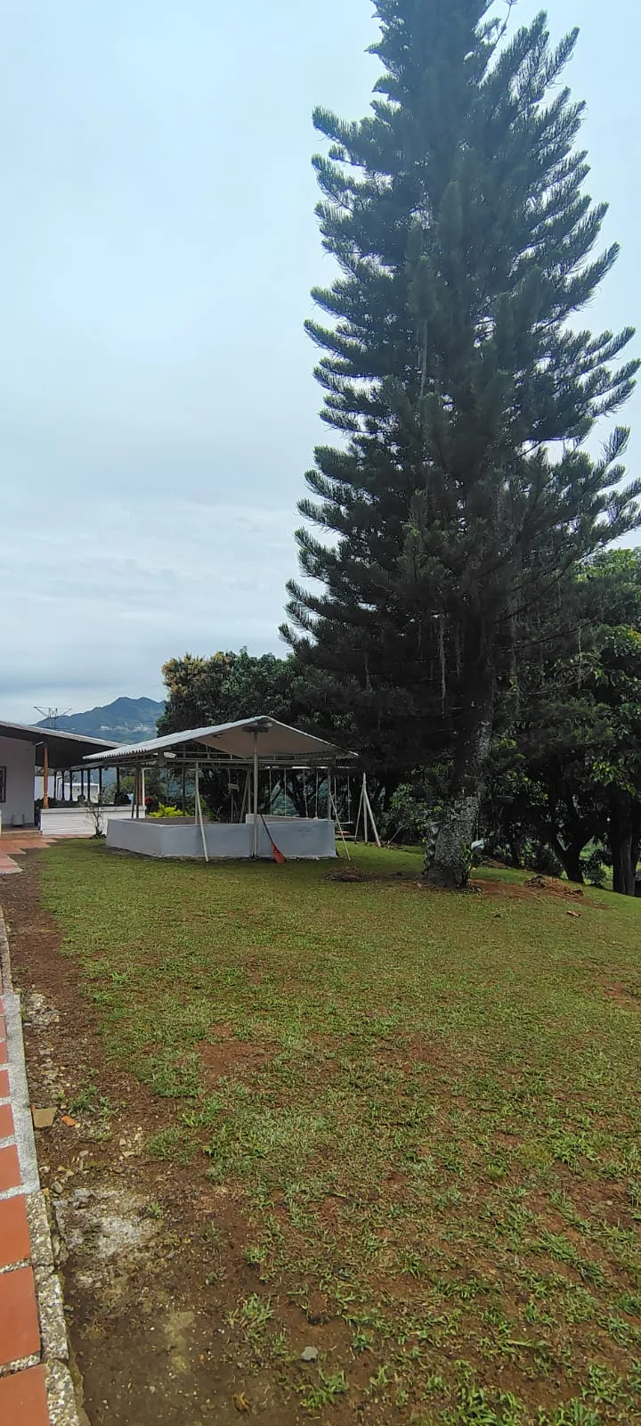 Apartamento en Arriendo en Las Palmas, Envigado