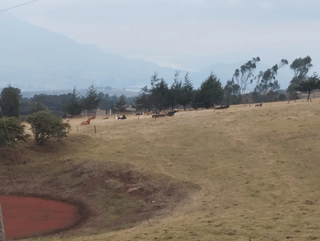 Finca en  Arriendo en Nemocon