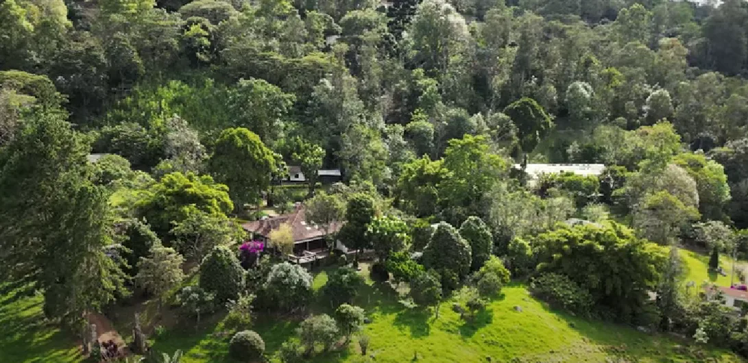 Finca en  Arriendo en San francisco