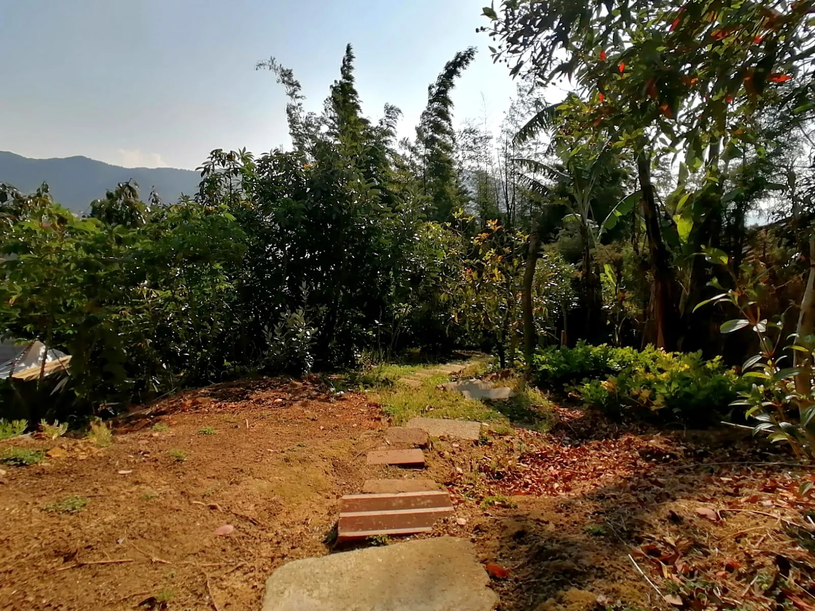 Finca en arriendo en Betania