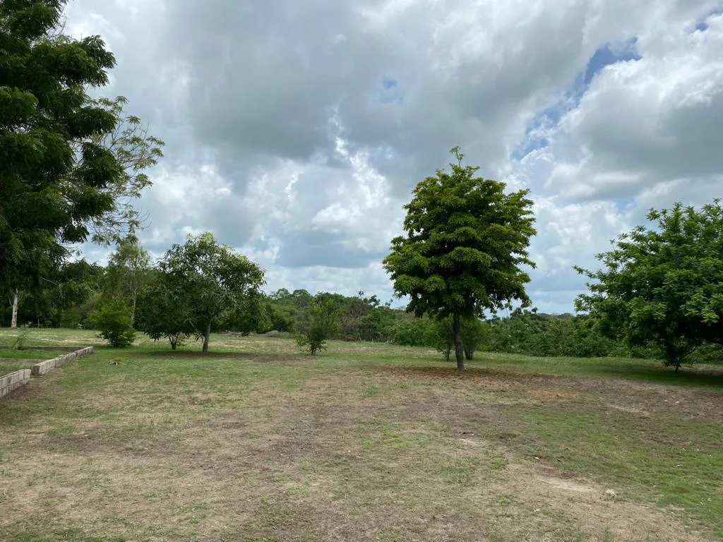 Finca en arriendo en Sabanagrande