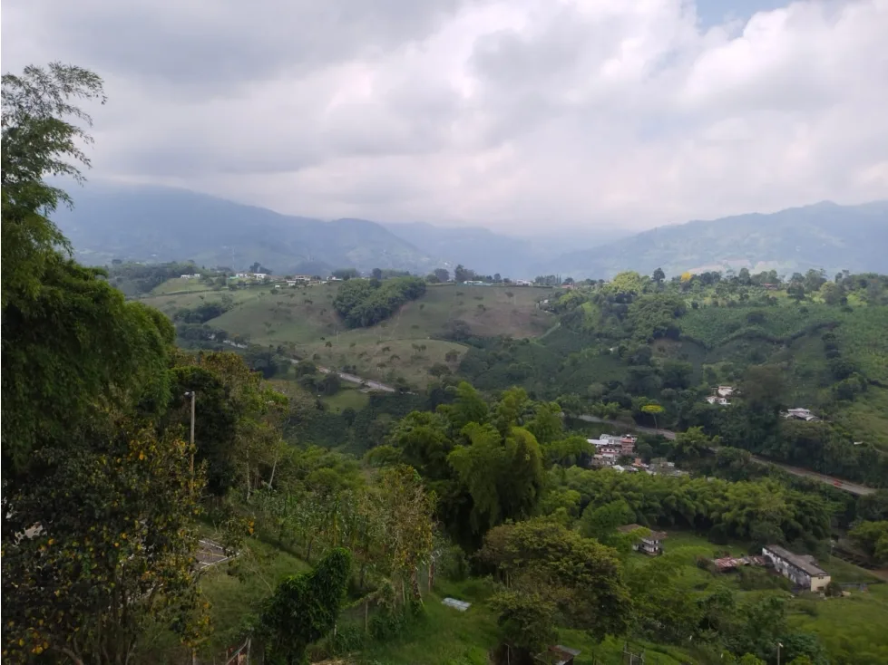 Apartaestudio en Arriendo en Avenida Centenario, Armenia