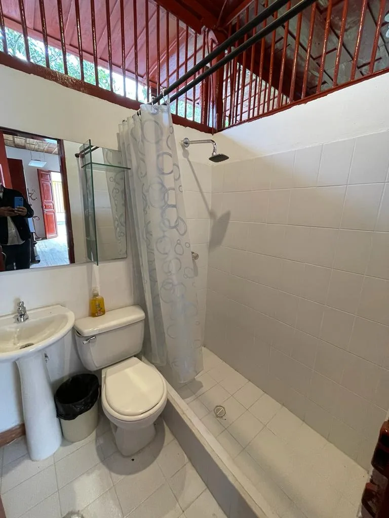 Local en Arriendo en Salento