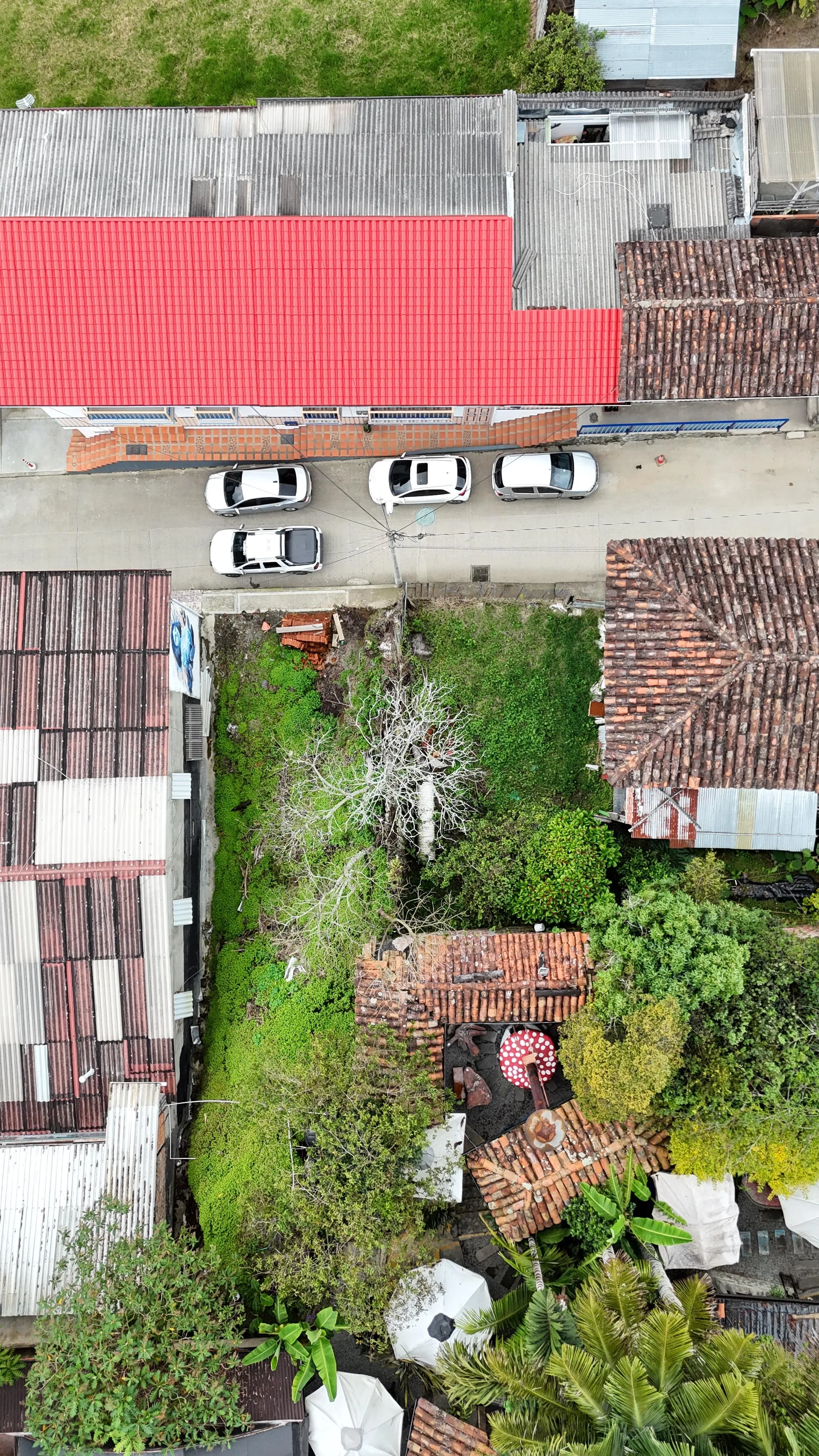 Lote en Arriendo en Armenia