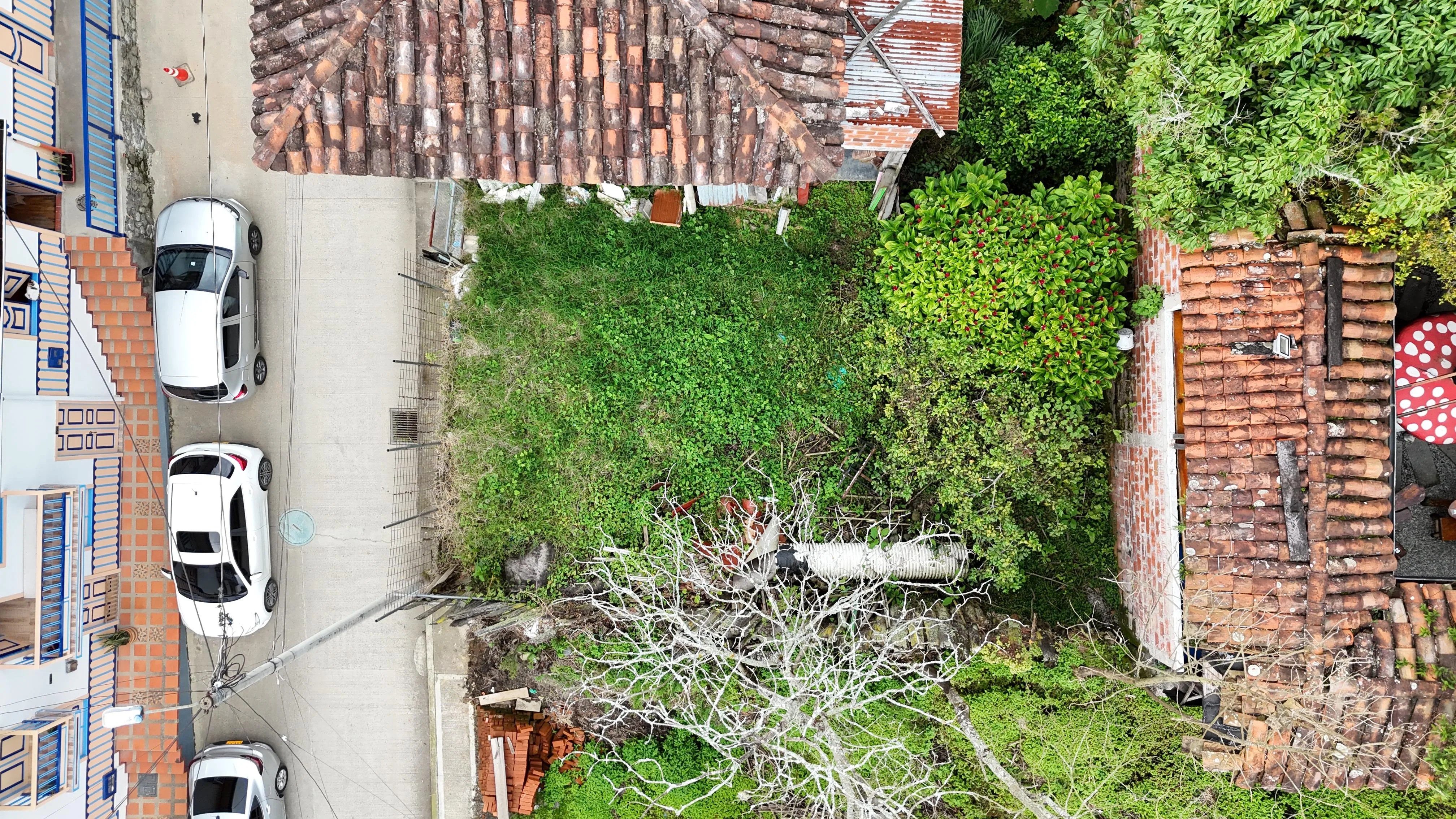 Lote en Arriendo en Armenia