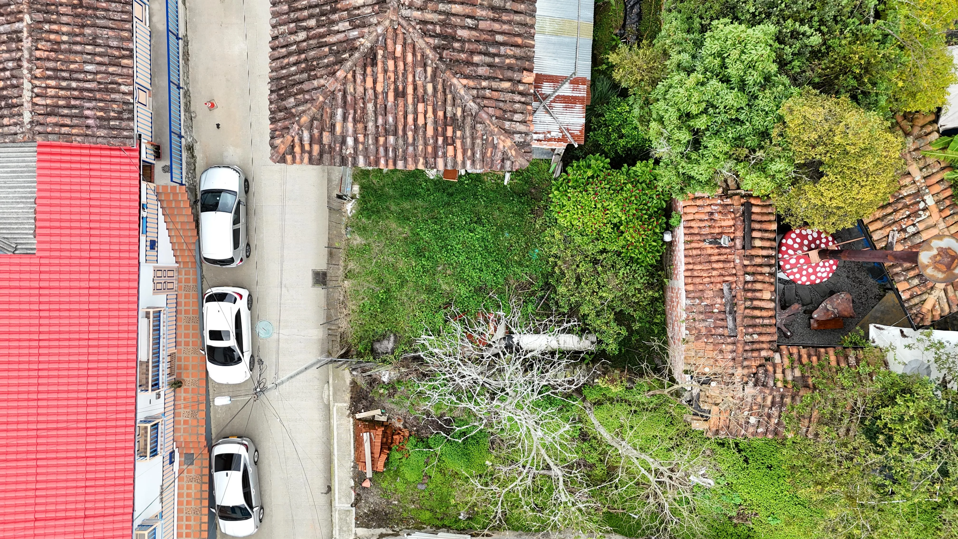 Lote en Arriendo en Armenia