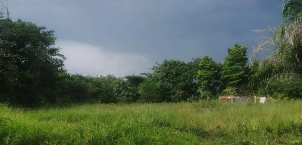 Lote en  Arriendo en Barrancabermeja