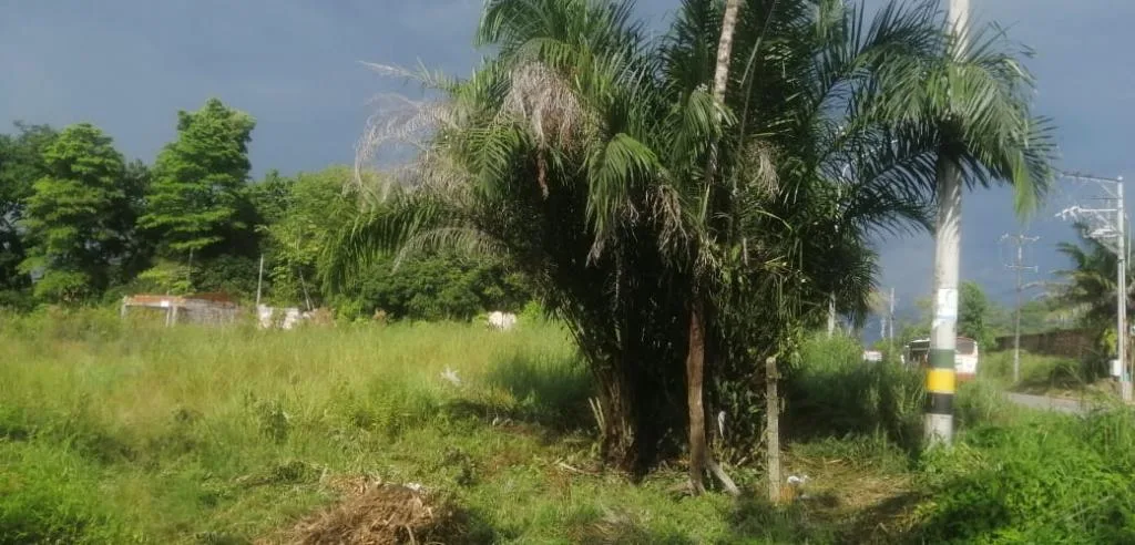 Lote en  Arriendo en Barrancabermeja