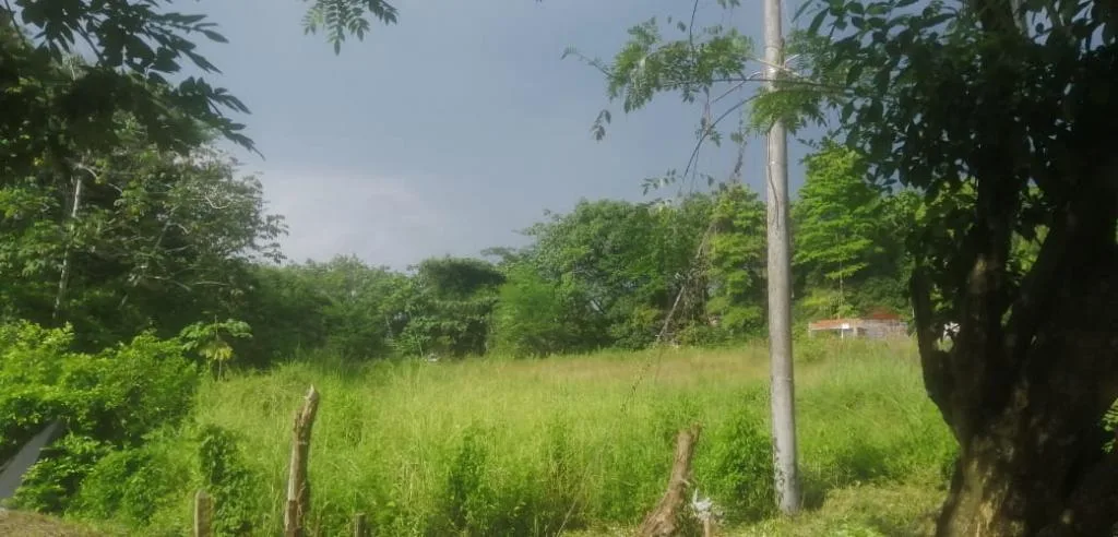 Lote en  Arriendo en Barrancabermeja