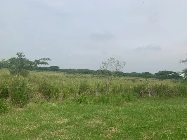 Casa Campestre en Arriendo en Cerritos, Pereira